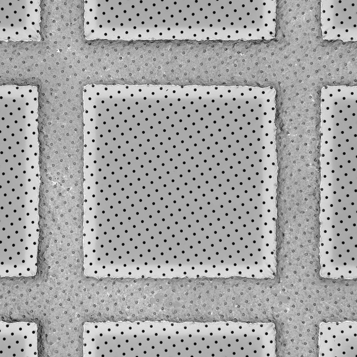 Quantifoil holey carbon films - Circular R 1/4