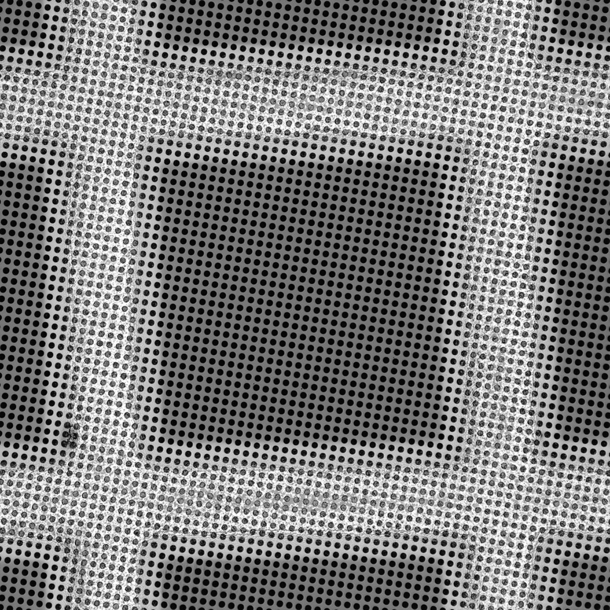 Quantifoil R2/1 holey carbon films - Circular