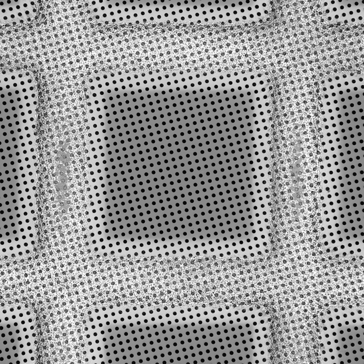 Quantifoil R2/2 holey carbon films - Circular