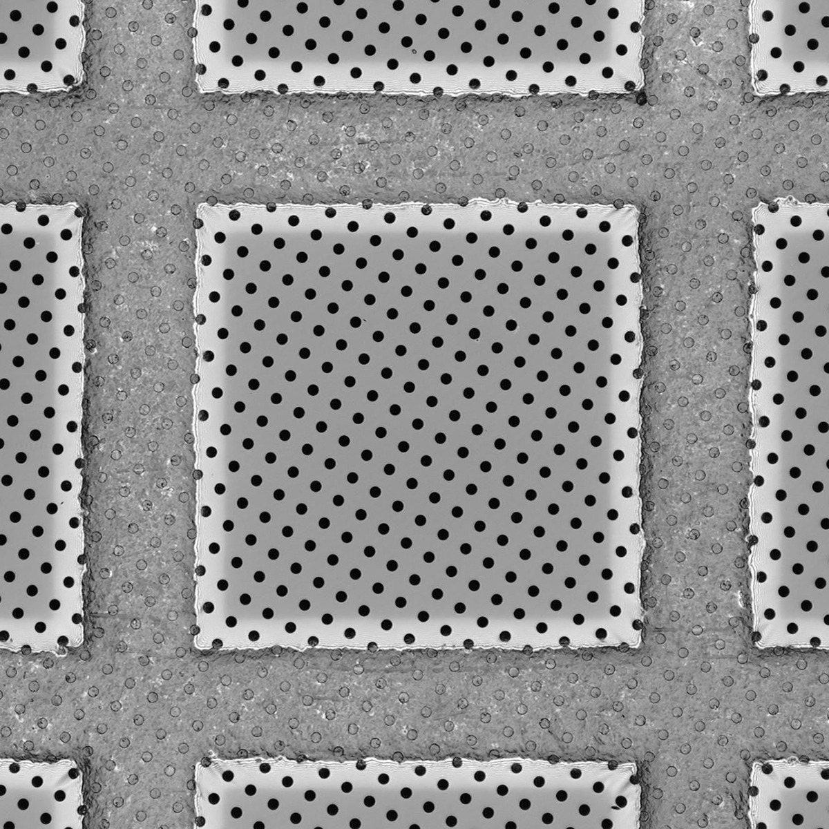 Quantifoil R2/4 holey carbon films - Circular
