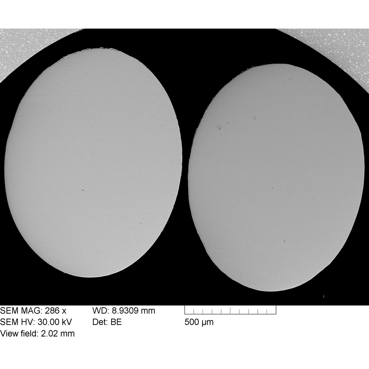 Reference specimens for backscattered electron detection systems