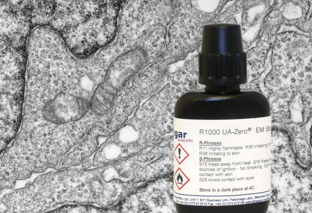 UA-Zero Application Fixation, staining & processing of HeLa* cell pellet from a culture dish