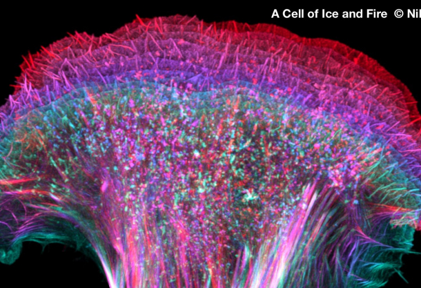 45th Scottish Microscopy Group Symposium