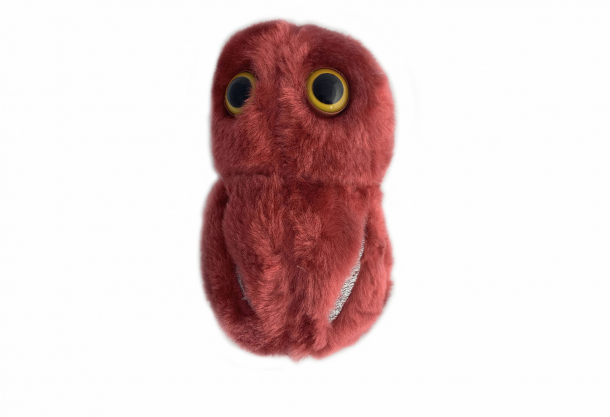 Agar Express June 2019 - MMC2019 – workshops, product experts, bacteria buddies & much more!                