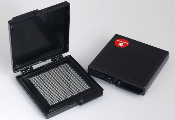 Agar Express February 2021 - new series of Gel-Pak boxes, SARS-Covid stained by UA-Zero & more!