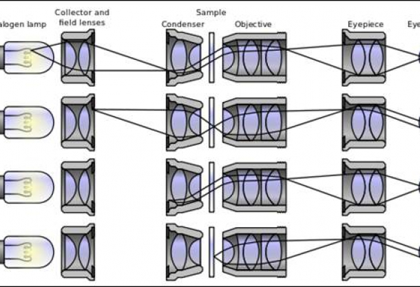 Koehler Illumination: A History and Practical Set Up