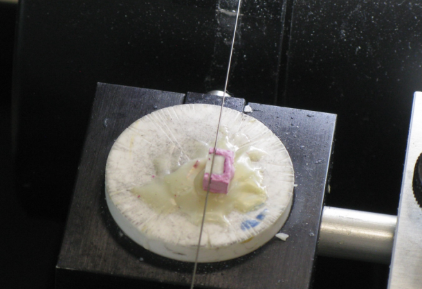 Preparation of tooth enamel wafers for Transverse Microradiography (TMR) using the WELL Diamond Wire Saw