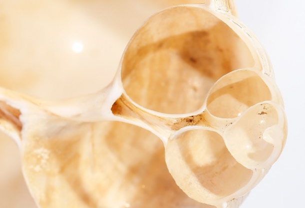 Introducing the WELL Diamond Wire Saws