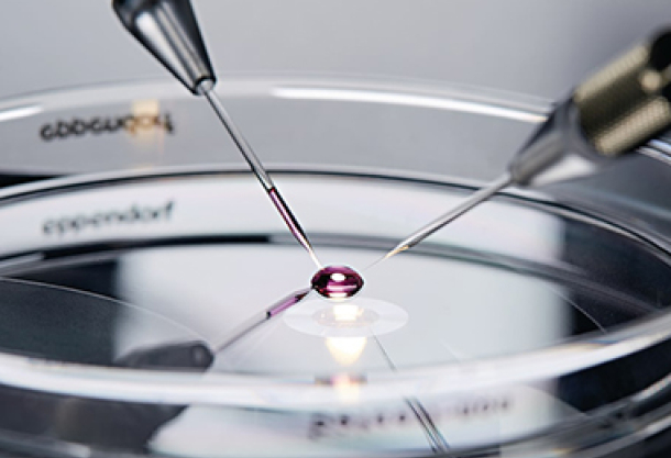 Cell Manipulation Instrumentation... Now from Calibre Scientific! 