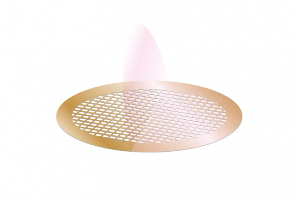 Agar Express February 2020 - New high quality AFM probes, reduced prices for carbon coated copper grids, special offers & more...