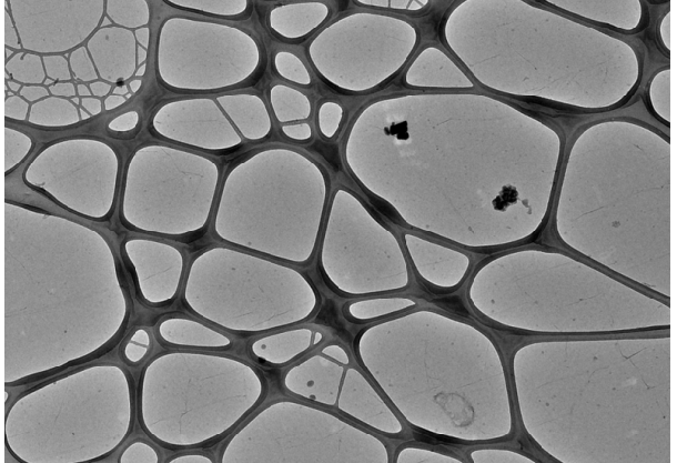 May 2022 newsletter - new graphene TEM support films!