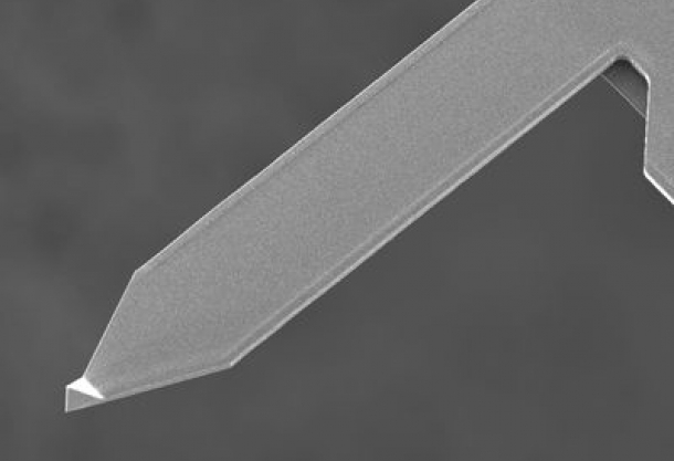 Agar Express August 2018 - new AFM probes with a unique tip shape, Boron substrate for SEM/EDX & more...