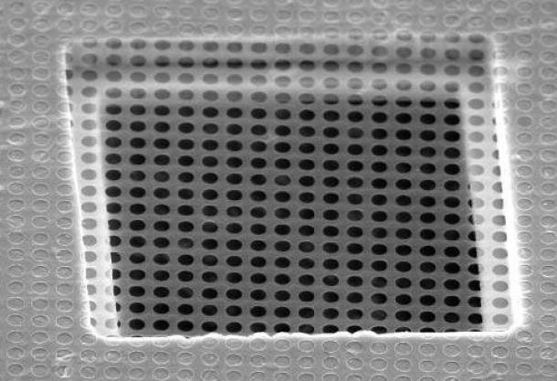 Quantifoils: Free fatty acid binding pocket in the locked structure of SARS-CoV-2 spike protein