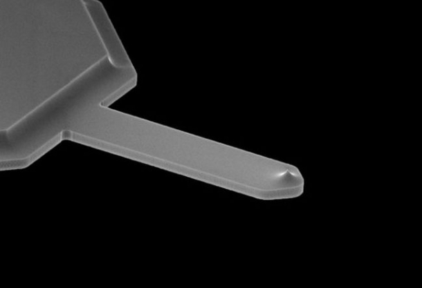 Agar Express August 2017 - new Silicon AFM probes, high-brightness Ringlight for LM, Ultrasonic cleaners & more