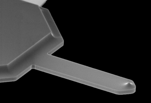 Agar Express November 2020 -  extra discounts this month, new AFM probes and more!