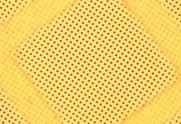 Agar Express November 2017 - UltrAuFoil Holey Gold Films for Cryomicroscopy, Critical Dimension Magnification Standards for SEM & more